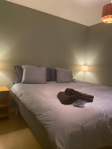 a bedroom with a bed with a robe on it at The Villa in Stugun