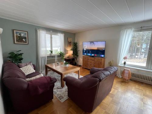 a living room with two couches and a tv at The Villa in Stugun