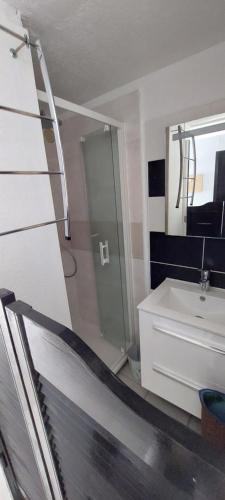 une salle de bain avec une douche, un lavabo et un miroir dans l'établissement Appartement RDJ cap d' Agde, au Cap d'Agde