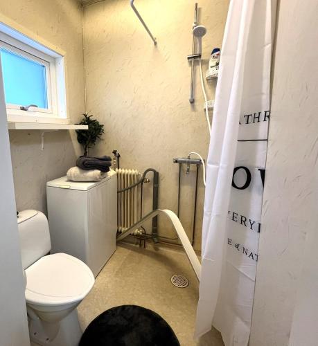 a small bathroom with a toilet and a shower at The Clinic apartment in Stugun