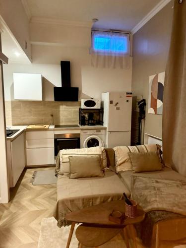 un salon avec un canapé et une cuisine dans l'établissement Le cocon du centre, T1 bis avec chambre séparé, à Montauban