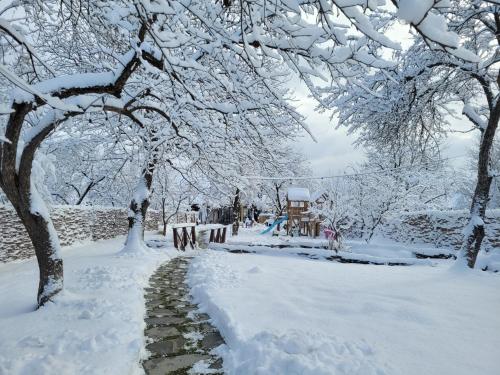 a snow covered park with trees and a stream at Joyard - Pensiune & Parc in Porumbacu de Sus