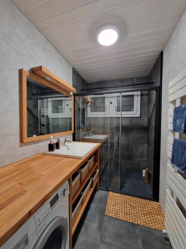 une salle de bain avec un lavabo et une machine à laver dans l'établissement LaCabanaSGX2V, à Saint-Gilles-Croix-de-Vie