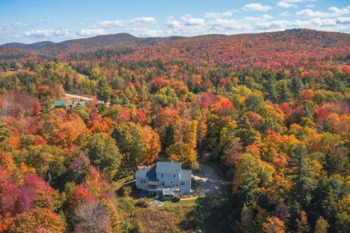 an aerial view of a house in the forest at Wish Upon A Star in Windham