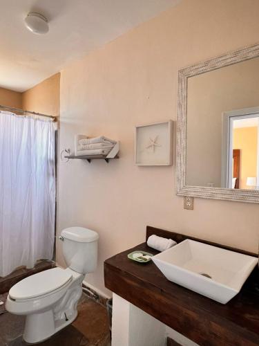 a bathroom with a toilet and a sink and a mirror at Los Vientos Hotel in Bahía de los Ángeles