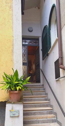 Muka bangunan atau pintu masuk palazzo RICCARDI