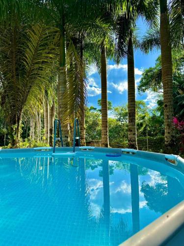 a large blue swimming pool with palm trees at Tiny Houses Amsterdam, Timbó in Timbó