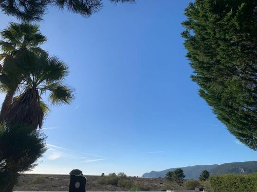 a view of a palm tree and the ocean at Summer Villa in Troia