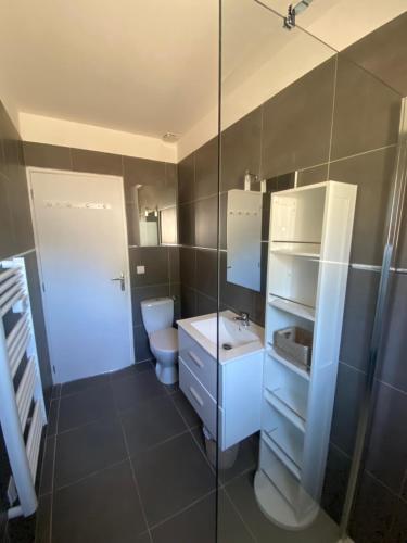 une salle de bain avec toilettes, lavabo et douche dans l'établissement Hébergement à Sainte Lucie de Porto Vecchio, à Conca
