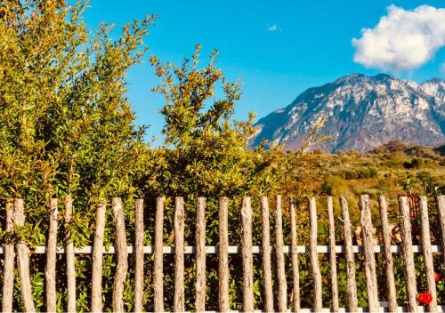 Fotografie z fotogalerie ubytování Alpeta Agrotourism & Winery - Roshnik , Berat v destinaci Berat