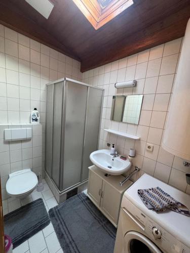 a bathroom with a shower and a sink and a toilet at Watten's Umgebung in Wattens