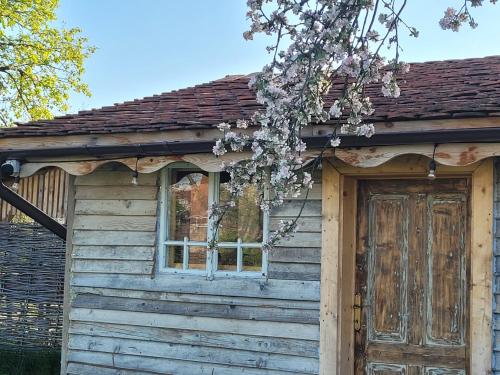 a wooden house with a door and a tree at Joyard - Pensiune & Parc in Porumbacu de Sus