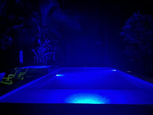 Der Swimmingpool an oder in der Nähe von Jungle Mansion With Pool - Playa Negra
