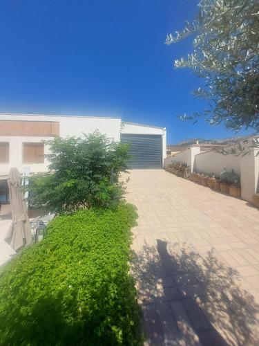 a patio with a lawn and a building with a garage at Casa del olivo Lucio en Alomartes in Alomartes