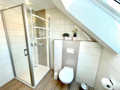 une salle de bain avec douche et toilettes dans l'établissement Glanzstück, à Hasselfelde