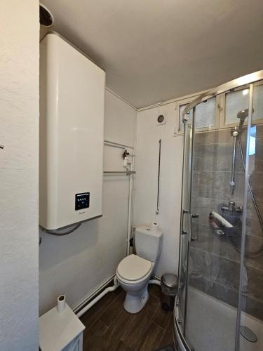 une petite salle de bain avec toilettes et douche dans l'établissement Apt at stlazarre opera haussman, à Paris