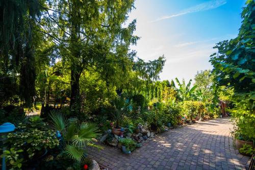 a garden with a lot of plants and trees at Katica Vendégház in Siófok