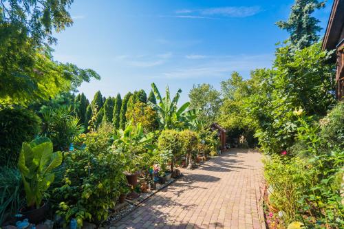 a brick pathway lined with plants and trees at Katica Vendégház in Siófok