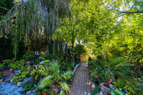 a garden with plants and trees and a brick path at Katica Vendégház in Siófok