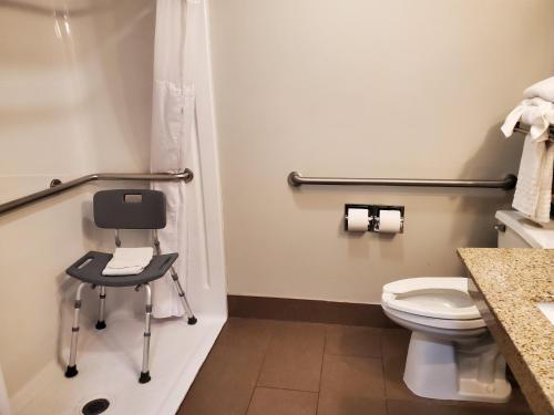 Best Western Fort Wayne Inn & Suites Northにあるバスルーム