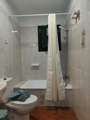 a bathroom with a toilet and a bath tub at Apartamentos Nelly in Valle Gran Rey