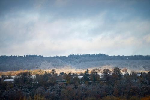 a view of a field with trees in the distance at Inarden Yellowstone Cabin in Durbuy