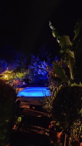 a swimming pool at night with blue lights at Katica Vendégház in Siófok