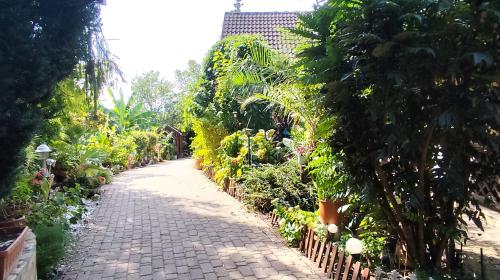 a cobblestone path in a garden with plants at Katica Vendégház in Siófok