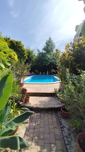 a swimming pool in a garden with plants at Katica Vendégház in Siófok