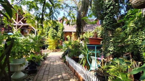 a garden in front of a house with plants at Katica Vendégház in Siófok