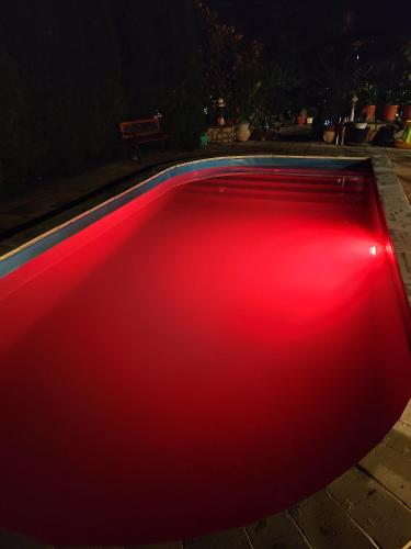 a red swimming pool in a yard at night at Katica Vendégház in Siófok