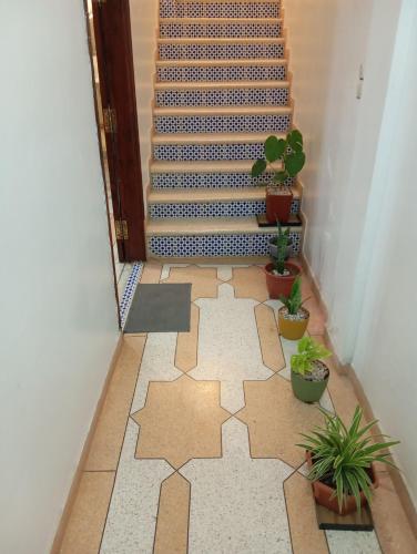 Gambar di galeri bagi Chez-soi di Meknès