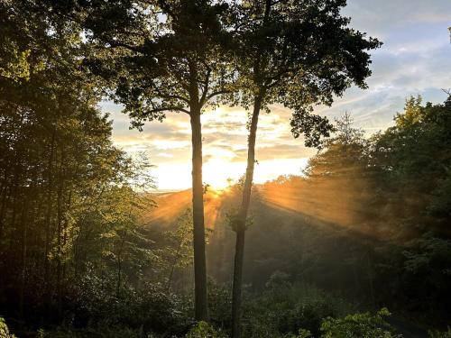 two trees with the sun setting in the background at Twin Oaks Cabin at Linville, Private, New remodel in Newland