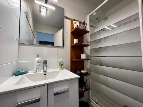 une salle de bain avec un lavabo, un miroir et une douche dans l'établissement Havre de paix au coeur de Larmor-Plage !, à Larmor-Plage