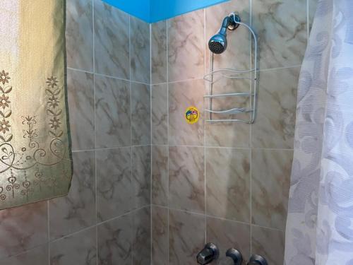 a shower with a shower head in a bathroom at Seaview Guesthouse Apt#1 in Bank Level
