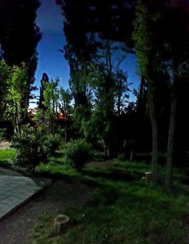 a yard with trees and grass with a sky at Cabañas EL BOSQUE in Malargüe