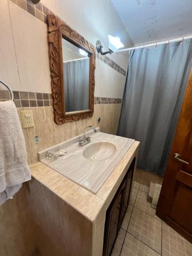 a bathroom with a sink and a mirror and a shower at Mesón del Poeta in Concepción del Oro