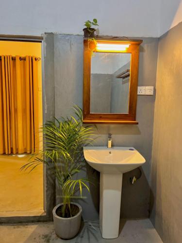 ein Badezimmer mit einem Waschbecken, einem Spiegel und einer Pflanze in der Unterkunft Mango Tree Homestay and Hostel in Sigiriya