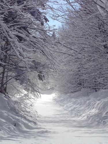 a snow covered road with snow covered trees on it at Bed and Breakfast Du Repos in Saint Quentin