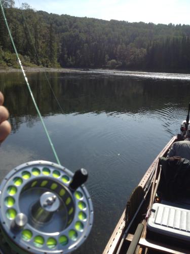 a person is holding a rod in a boat on a lake at Bed and Breakfast Du Repos in Saint Quentin