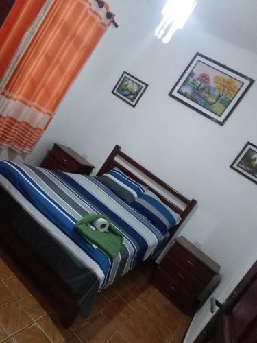 a bedroom with a bed with a toy frog on it at Hotel Lider in Santa Cruz de la Sierra