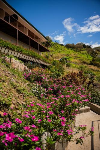 a bunch of pink flowers in front of a building at Finca Aquarius in Monteverde Costa Rica