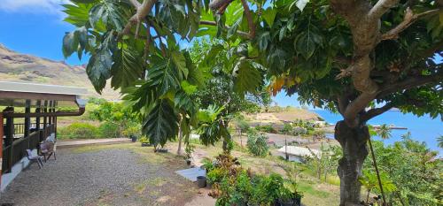 a view from the porch of a house with a tree at Tatamai in Nuku Hiva
