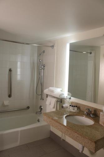 a bathroom with a sink and a tub and a mirror at Wyndham Flint MI Grand Blanc Bishop Airport Conference Ct in Flint