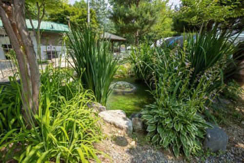 a pond in a garden with plants and a stream at Gapyeong GlamDog Pet Pension in Gapyeong