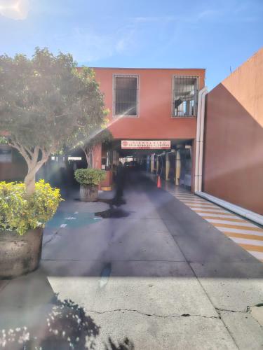 an empty hallway of a building with a tree at Lele y Panchito en el Centro in Querétaro