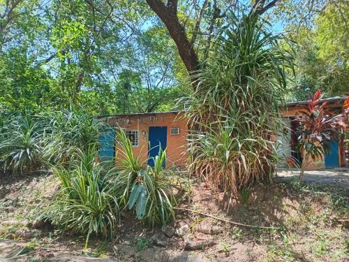 an orange house with plants in front of it at Cabaña de Lucas in Loma Bonita