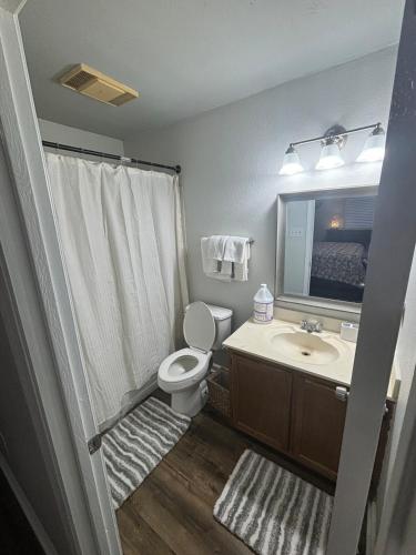 a bathroom with a toilet and a sink and a mirror at Perkins Cove in Baton Rouge