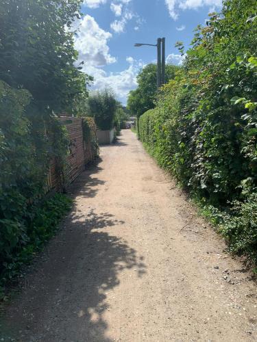 a dirt road with bushes and a street light at Nordic Exclusive Log House On The North Coast in Tisvildeleje