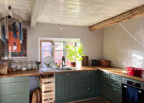 a kitchen with green cabinets and a sink at Timber House With Sea View In Guldborg in Guldborg
